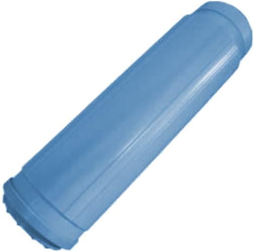 BWT N C1 10" Activated Carbon Cartridge