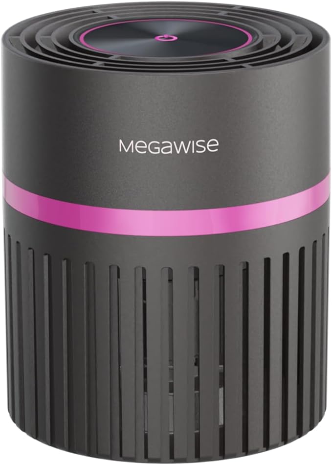 MEGAWISE Office Air Purifier with 3-in-1 HEPA Filter Desktop Air Cleaner for Smoke, Dust, Pet Dander, HEPA Air Purifier for Home and Bedroom, 100% Ozone Free (silvery)