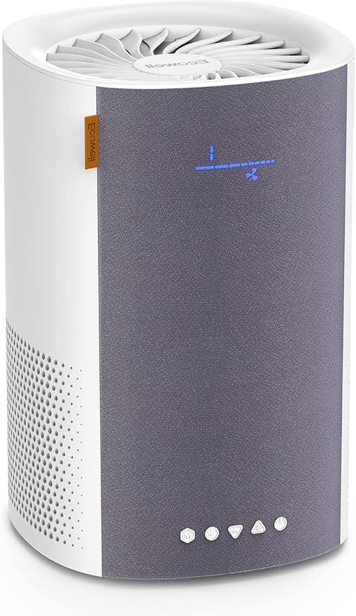 ECOWELL Hepa Air Purifiers,3-Stage Filtration Small Home Air Purifier Covers up to 215 ft² / 20 m² for Small Room, Quiet 28db Mini Air Purifier for Bedroom and Remove Pets Hair.