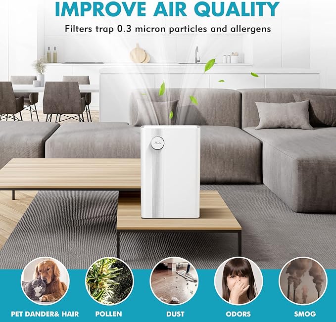 Home Air Purifier for Large Room up to 1076 Sq. Ft., Upgraded H13 True HEPA Air Filter for Pets Dander, Dust, Smoke, Pollen, Odor, VOCs Eliminators for Office, Bedroom, Kitchen (Available for California)